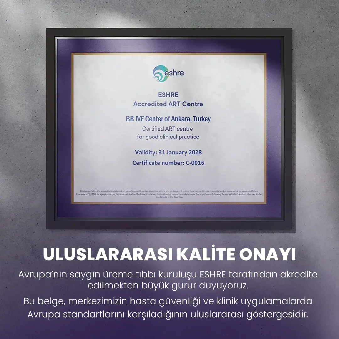 Sertifika-BB-Web-optimized